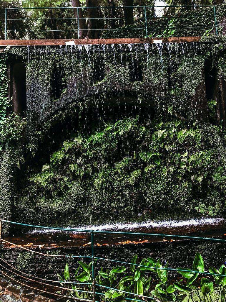 Madeira botanische tuinen