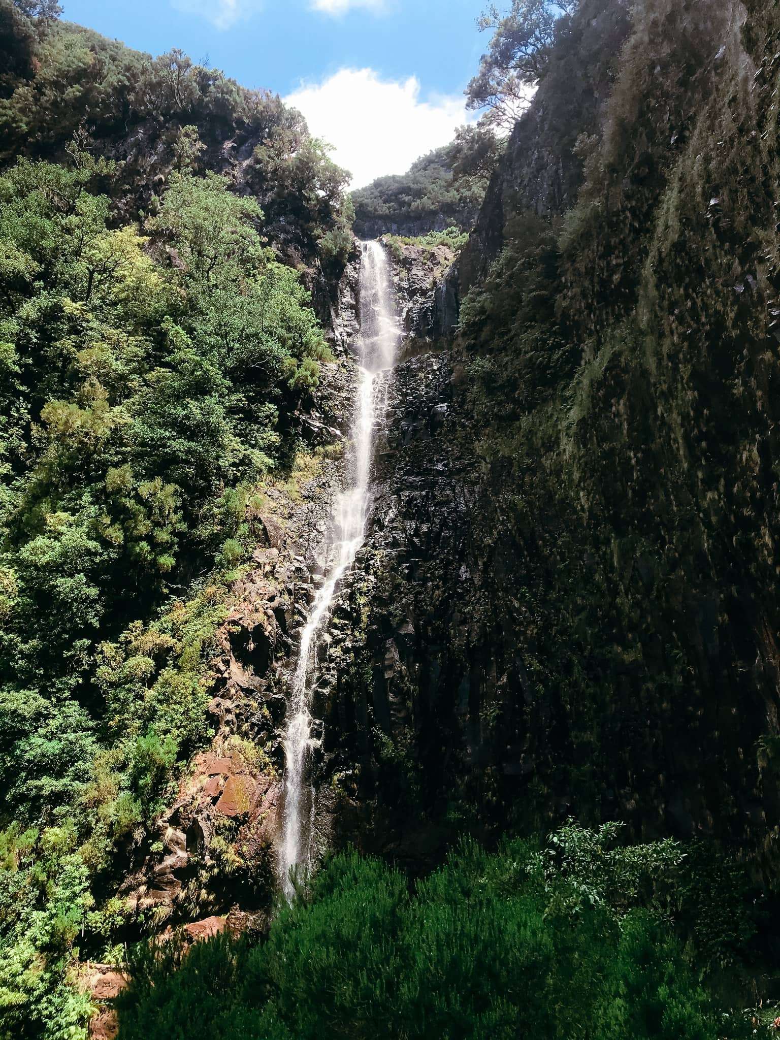 Risco waterval Madeira